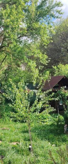 Vila Eden House Șelari