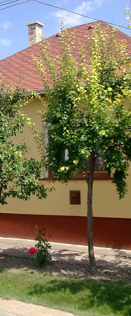 Fehér Vendégház Hajdúszoboszló