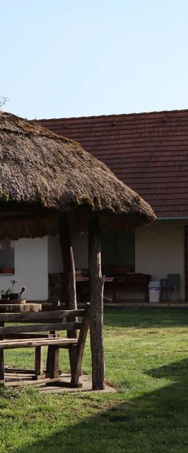 Koroknai Porta Báránd