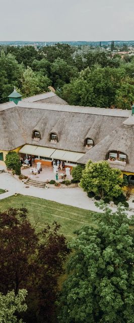 Nyerges Hotel Termál Monor