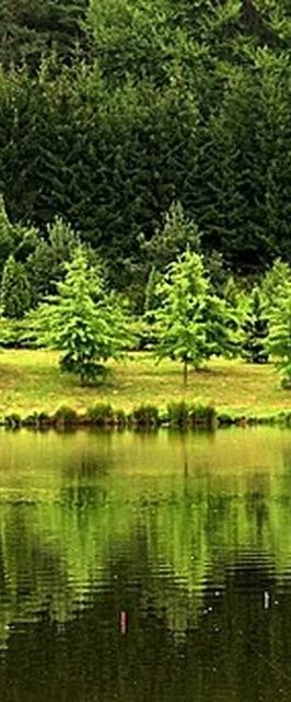 Tavi-Vendégház Őrség Szentgotthárd