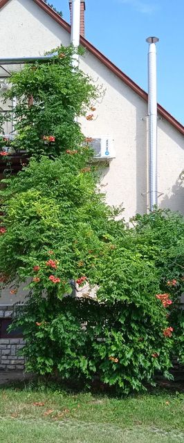 Manyi Apartman Fonyód