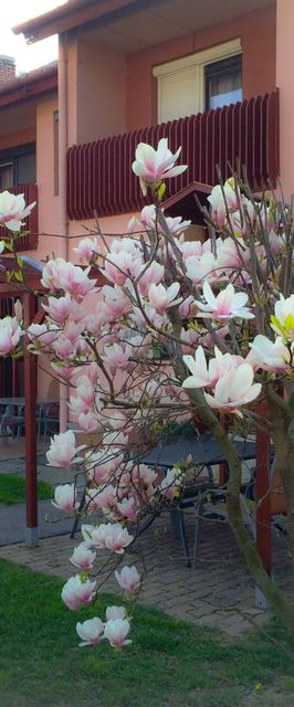 RTHome Vendégház Szombathely