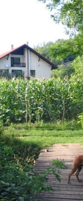 Erdőalja-Vendégház Jásd