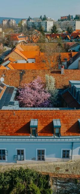 Bazilika alatt Panzió ****Esztergom