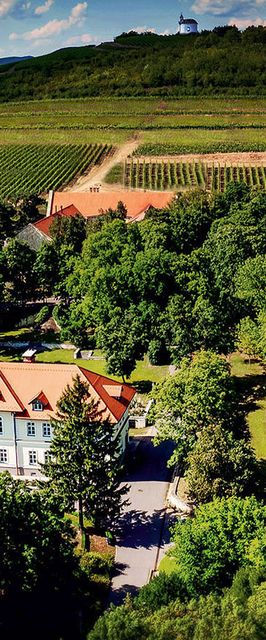 Gróf Degenfeld Kastélyszálló Superior Tarcal