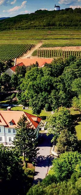 Gróf Degenfeld Kastélyszálló Superior Tarcal