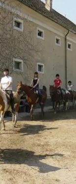 Capári Lovasiskola Sümeg