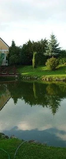 Áldos Wellness Panzió Farád