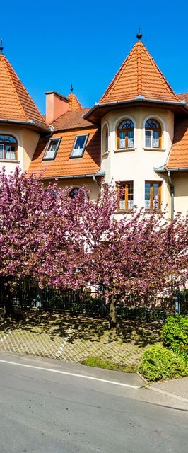 Hajdú Kastély Hotel Hajdúszoboszló