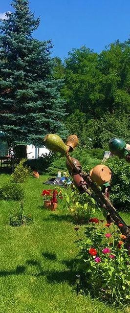 Kecskefarm Tápiószentmárton