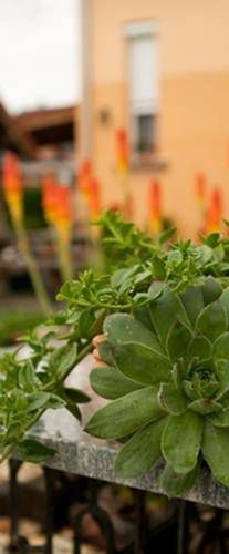 La Villa Pergola Szentgotthárd