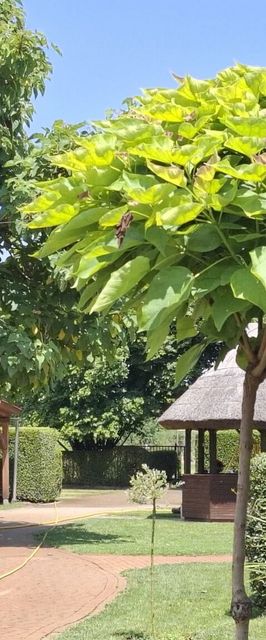 Puszta Vendégházak Tiszafüred