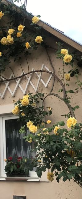 Rózsakert Vendégház Egerszalók