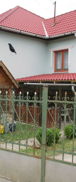 Holló Vendégház Szögliget