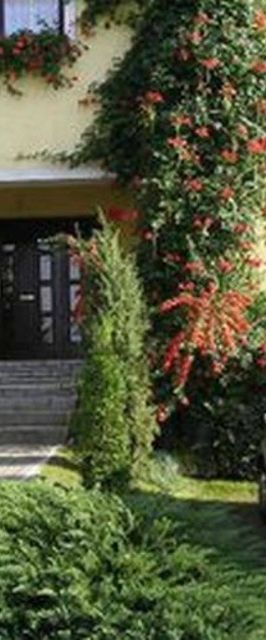 Zöld Sziget Vendégház Eger