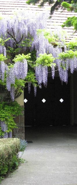 Lila Akác Vendégház Drégelypalánk