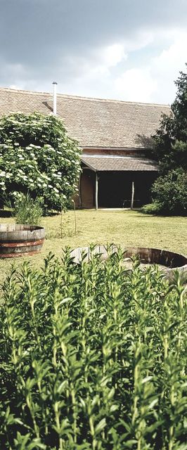 Apartman Vörösdombi Vendégház Cserkút