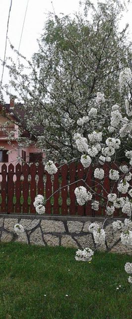 Tóth Nyaraló Balatongyörök