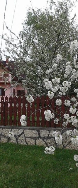 Tóth Nyaraló Balatongyörök