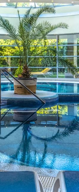 Thermal Hotel Visegrád