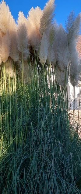 Napfény Villa Balatonfüred