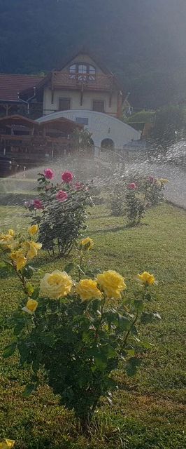 Szabó Pince Vendégház Balatonederics