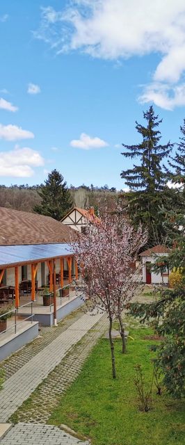 Cicáskacus Vendégház Mátrafüred