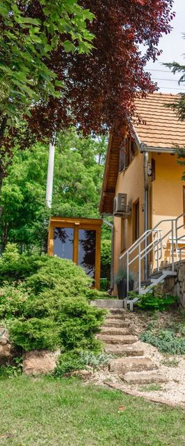 Dunakanyari Moson Patak Vendégház Nagymaros