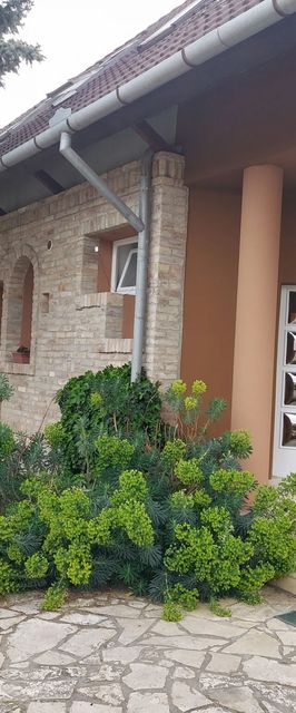 Petra Vendégház Szekszárd