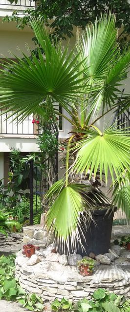 Kővirág Apartman Hévíz