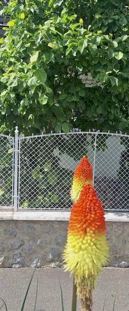 Rohonci Vendégház Kőszeg