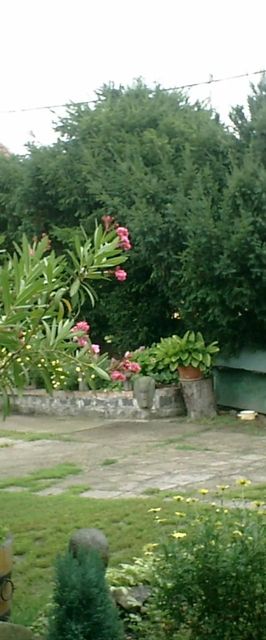 Panni Pihenőház Szentendre