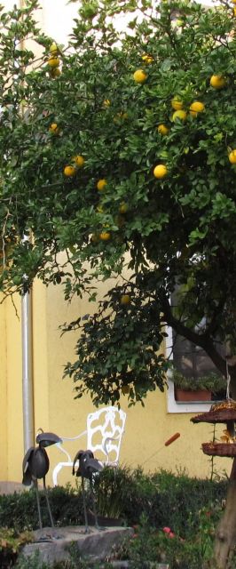 Torkolat Panzió Tokaj