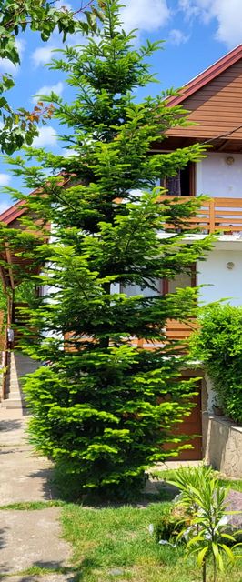 Ibolya Apartman Gyenesdiás