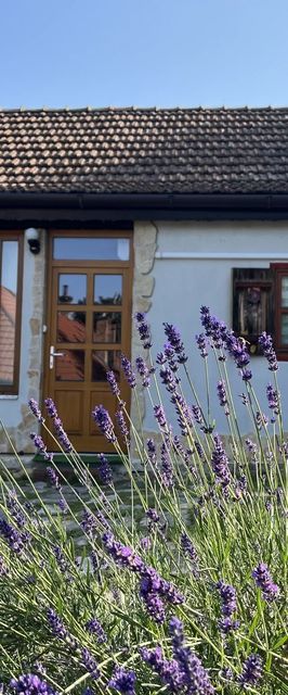 Mókus ház Visegrád