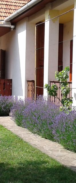 Nosztalgia Vendégház Mezőkövesd