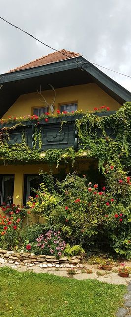 Trófea Apartman Gyenesdiás