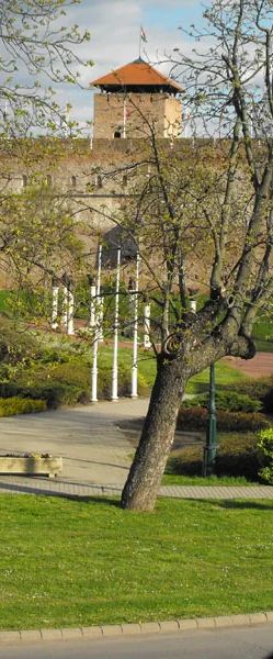 Boróka Apartman Gyula