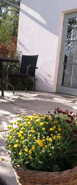 Akácos Vendégház III-Mini Lak Kőszeg