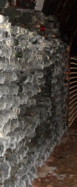 Novák Pince Vendégfogadó Szigetvár