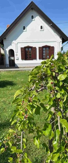 Tulipános Vendégház Fertőszentmiklós