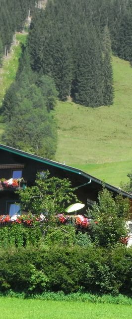 Ferienhaus Regina Werfenweng