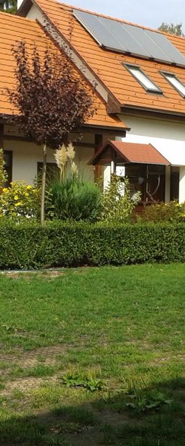 Tip-Top Lak Szilvásvárad