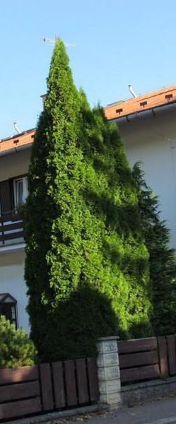 Penzión Iris Rajecké Teplice