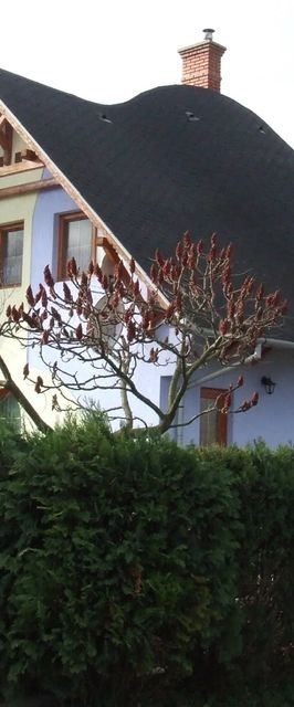 House Markó Balatonmáriafürdő