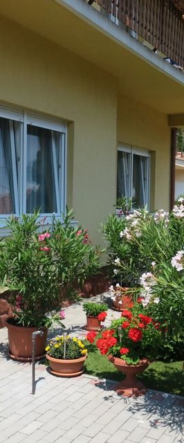 Matild Apartmanház Siófok