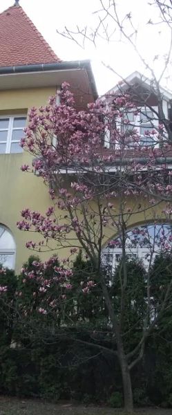 Art Vendégház Budapest