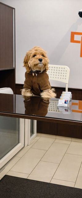 Práter Residence Apartman Budapest