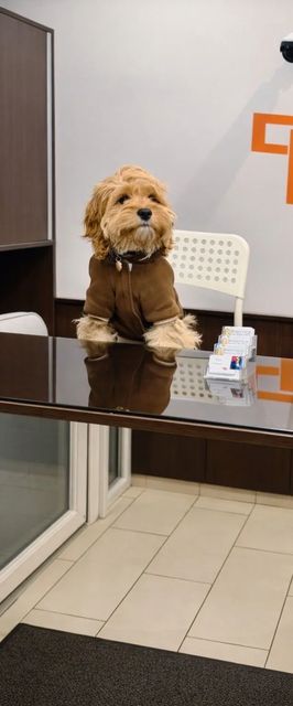 Práter Residence Apartman Budapest